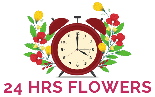 24 Hrs Flowers